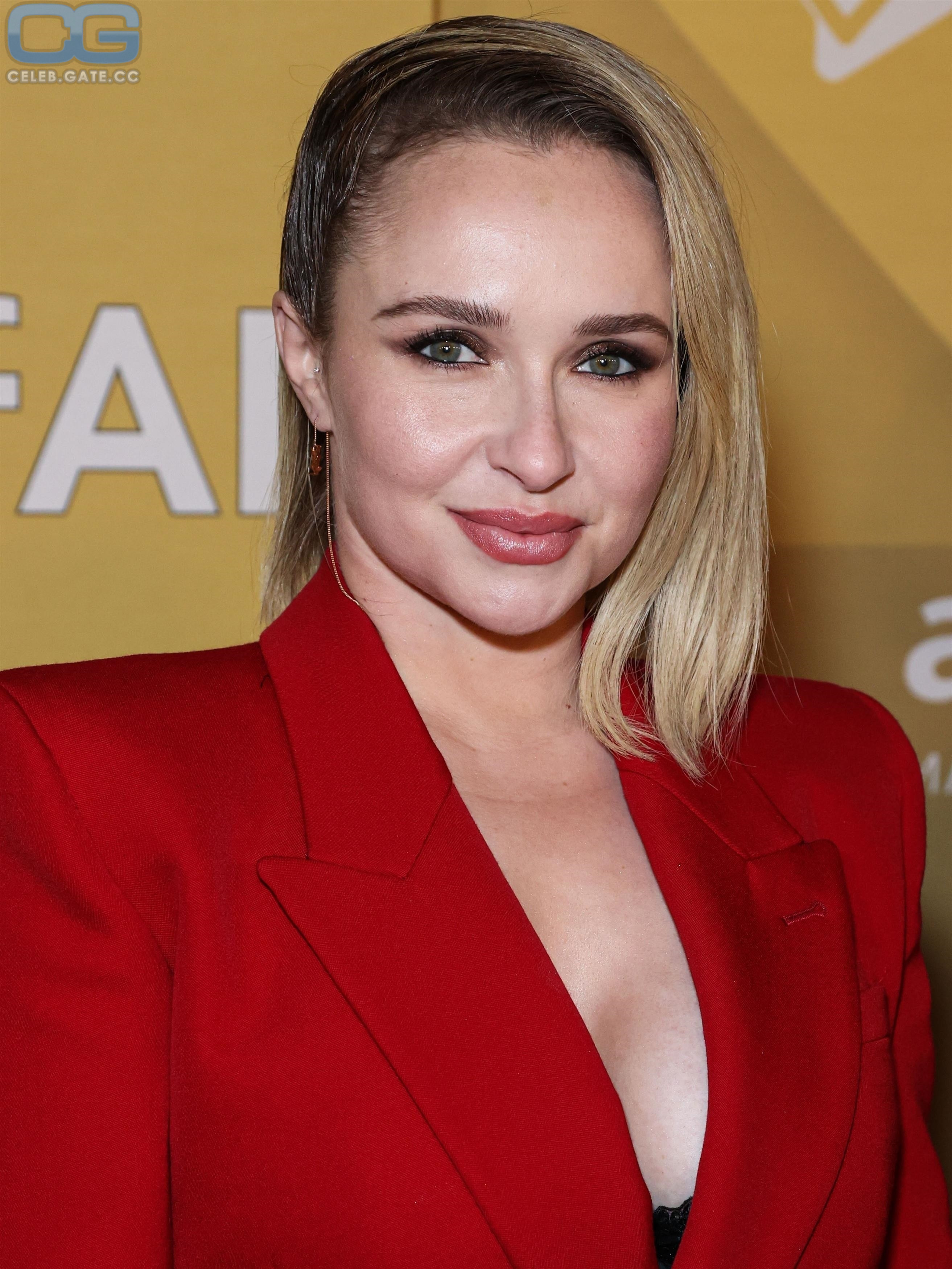 Hayden Panettiere Nude Pictures Onlyfans Leaks Playboy Photos Sex 3480