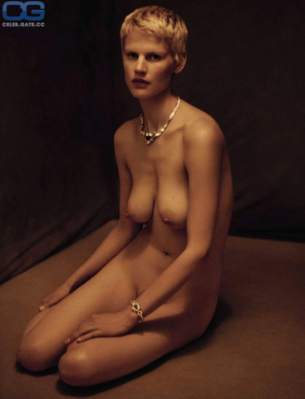 Saskia De Brauw Nackt Nacktbilder Playboy Nacktfotos Fakes Oben Ohne