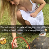 Anna Hafner 