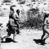 Barbara Rhoades