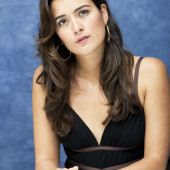 Cote De Pablo 