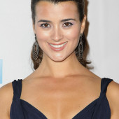 Cote De Pablo 