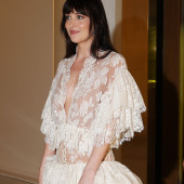 Dakota Johnson 