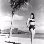 Donna Reed 
