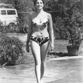 Gina Lollobrigida 