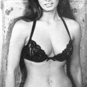 Nude pictures of raquel welch