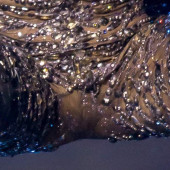 Shania Twain 
