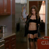 Sophia Bush 