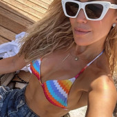 Sylvie Meis 