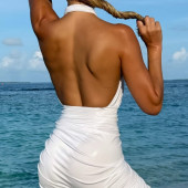 Sylvie Meis 