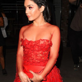 Vanessa Hudgens see through