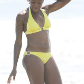 Venus Williams 