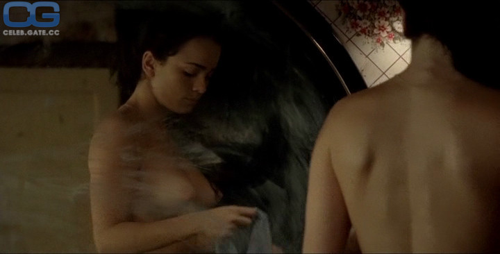 Alice Braga desnudo