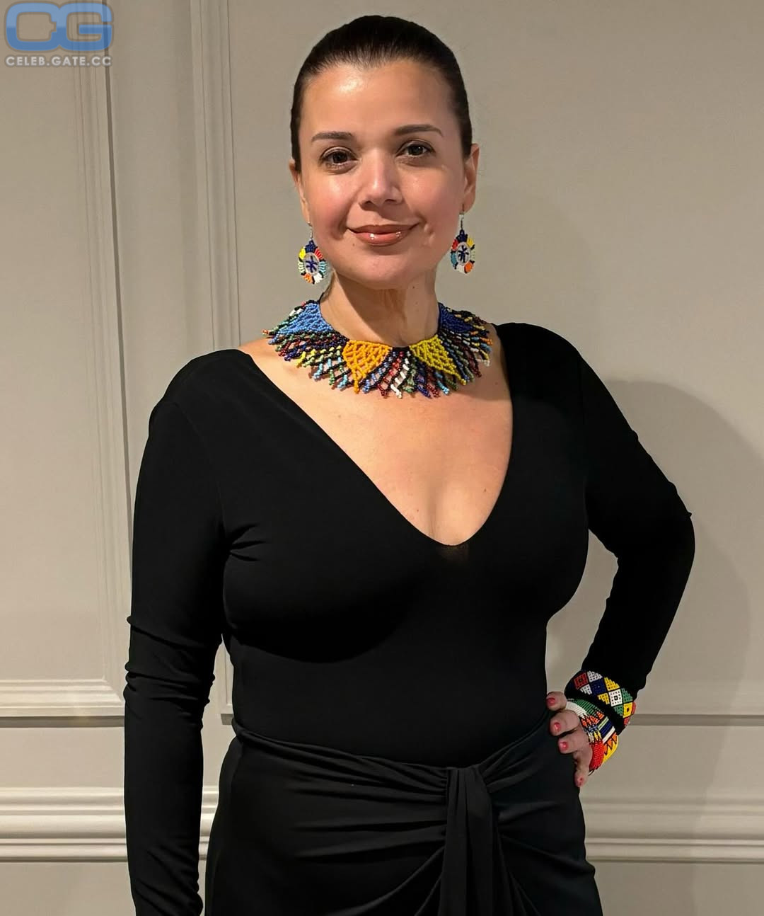 Ana Navarro-Cardenas 