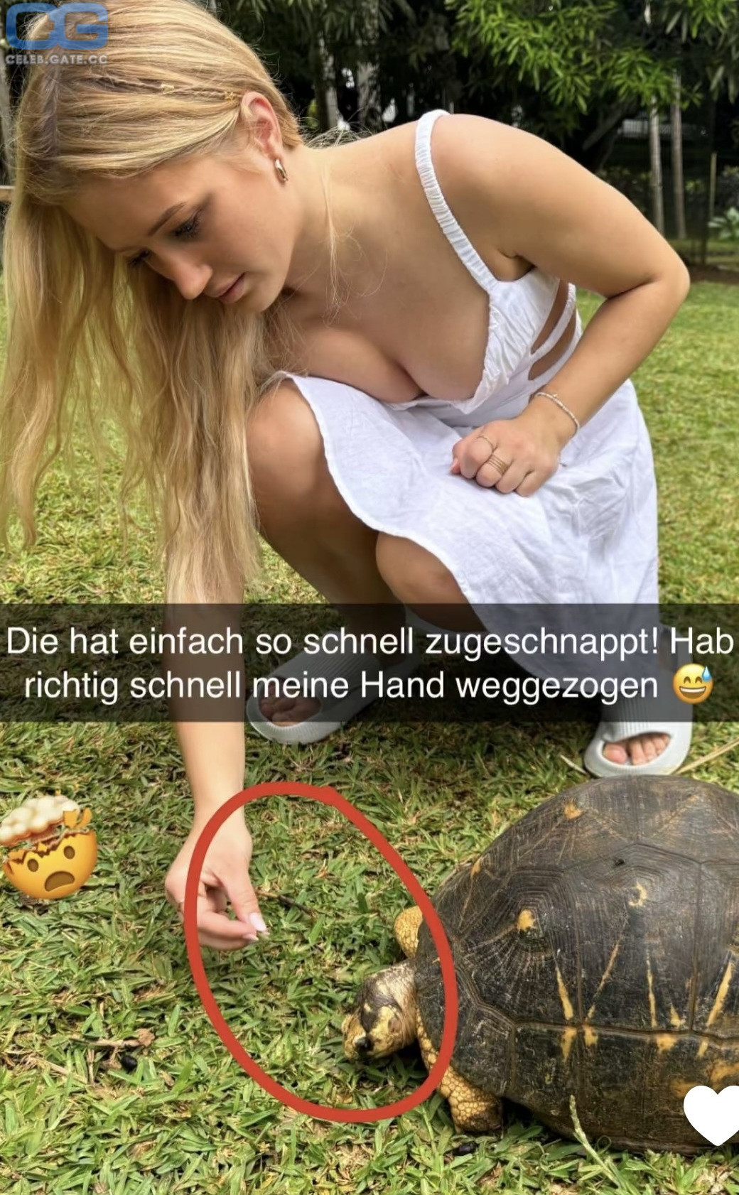 Anna Hafner 