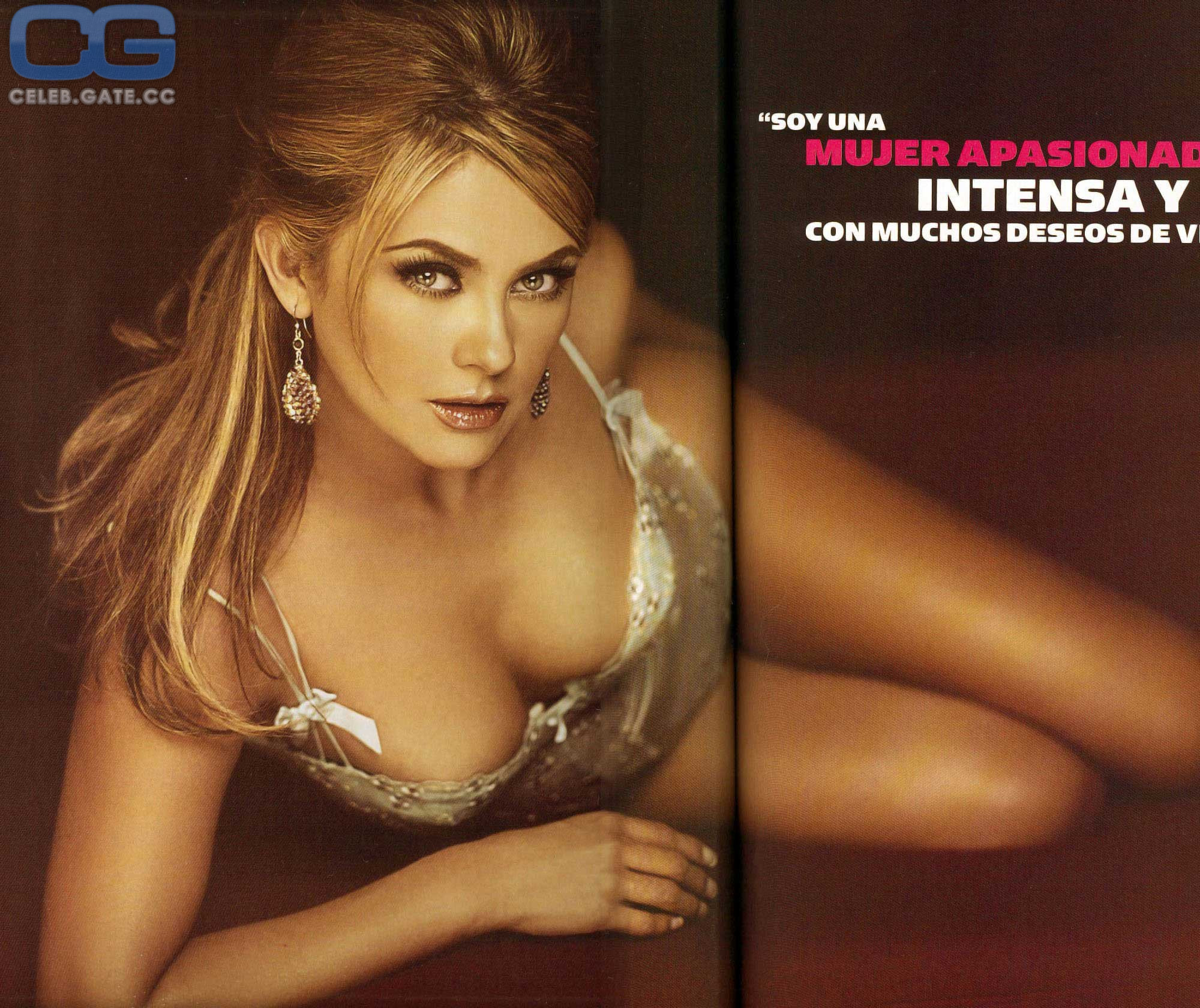 Aracely Arambula nude, pictures, photos, Playboy, naked, topless, fappening