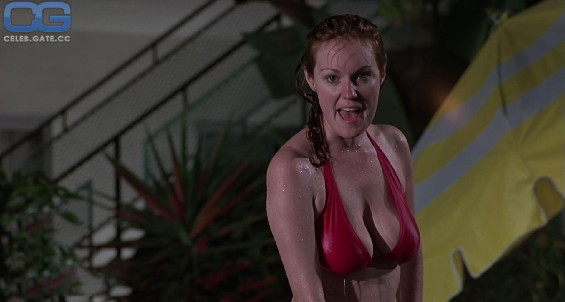 Barbara Rhoades 