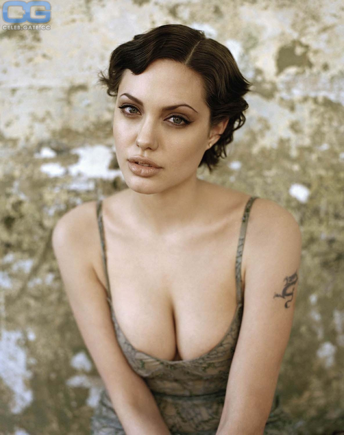 Nackt angelina jolie playboy Angelina Jolie