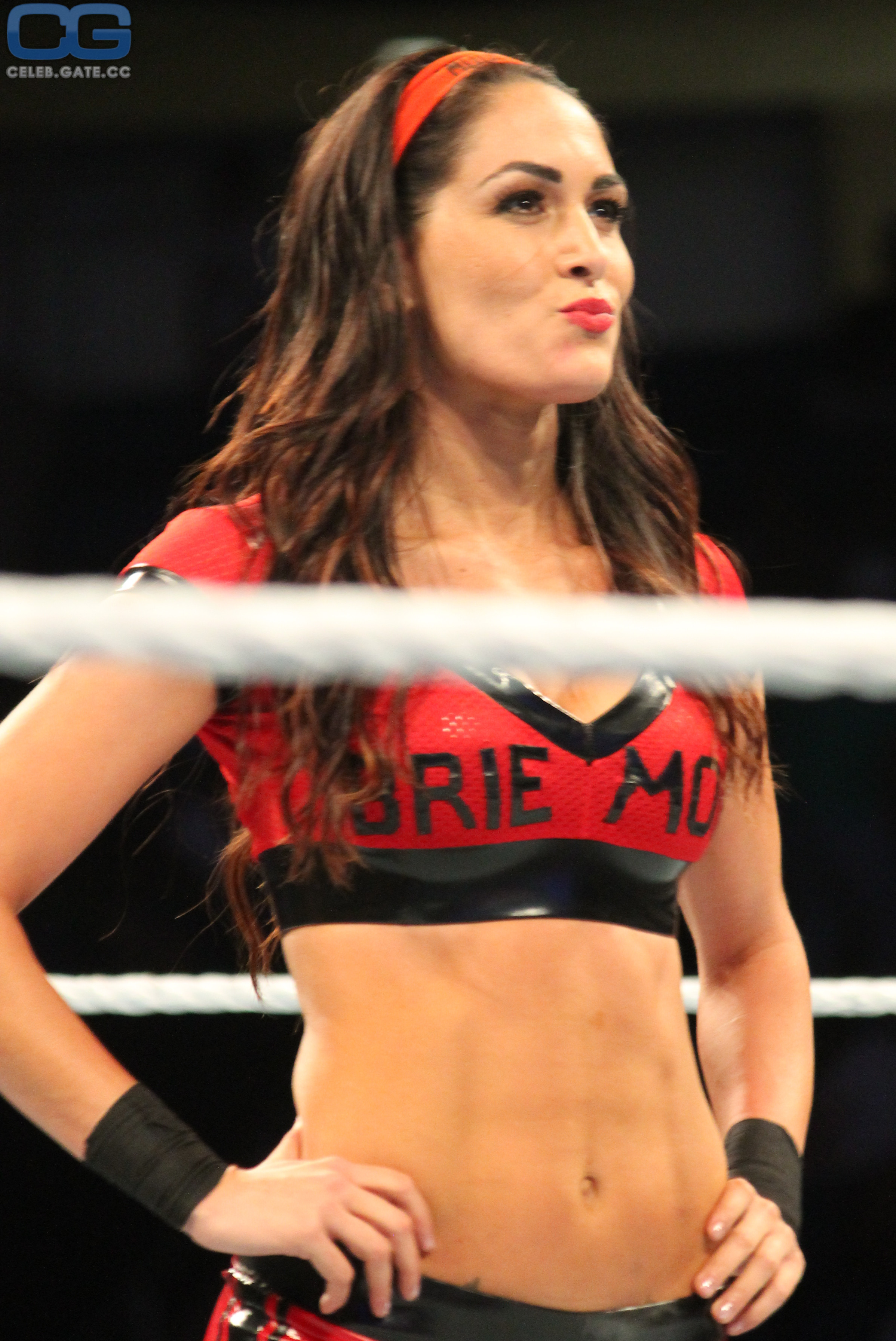 Brie Bella wrestling