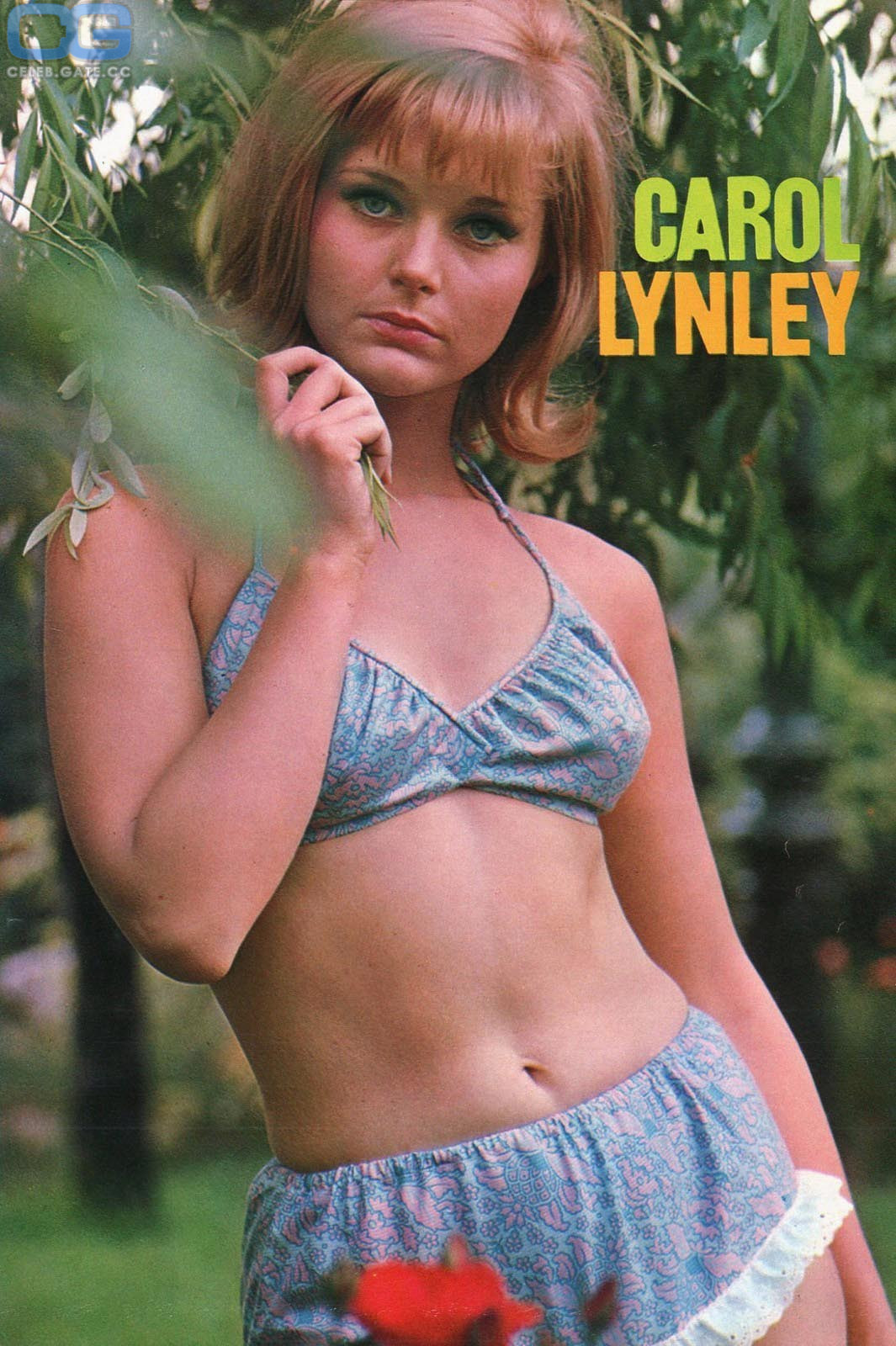 Carol Lynley body
