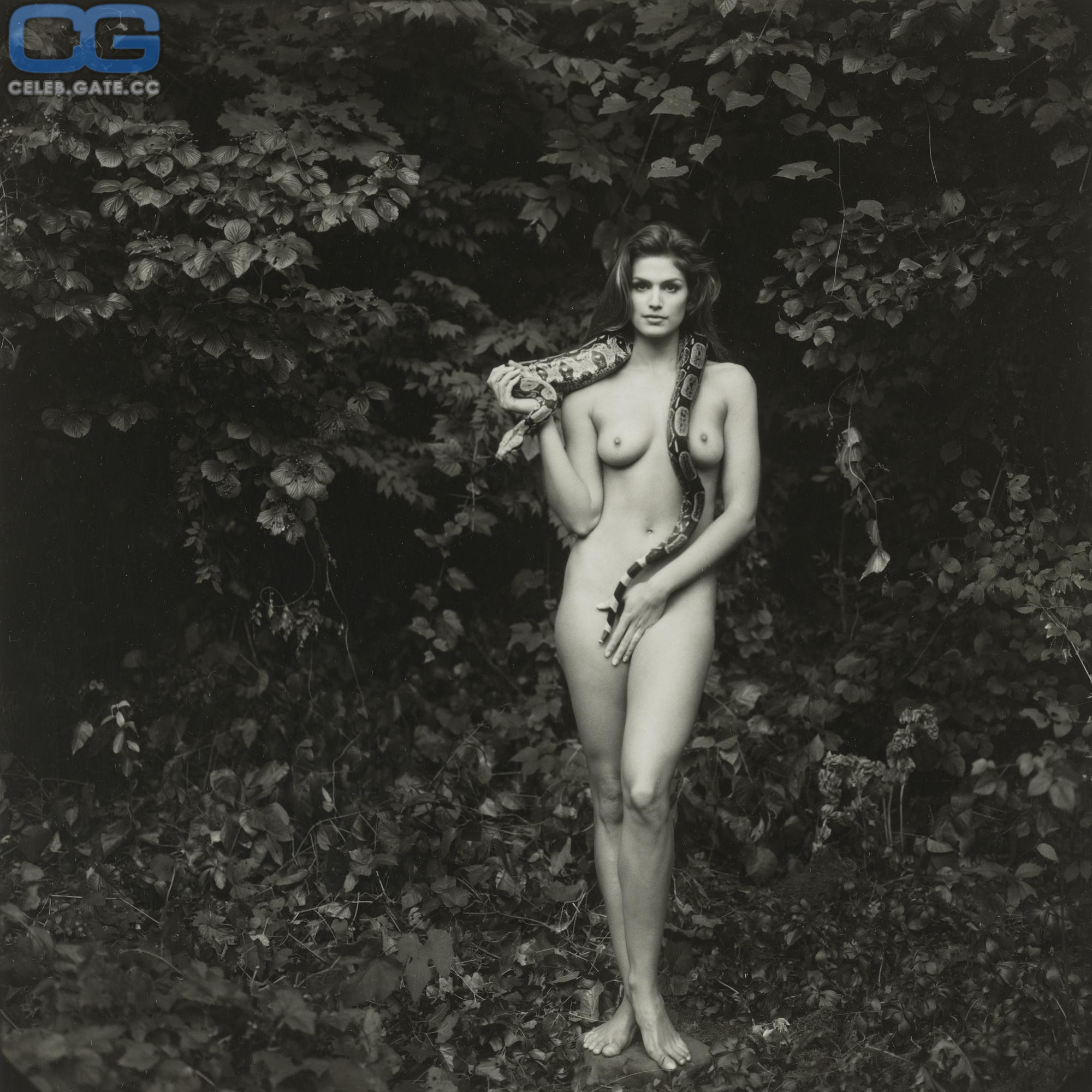 Cindy Crawford 