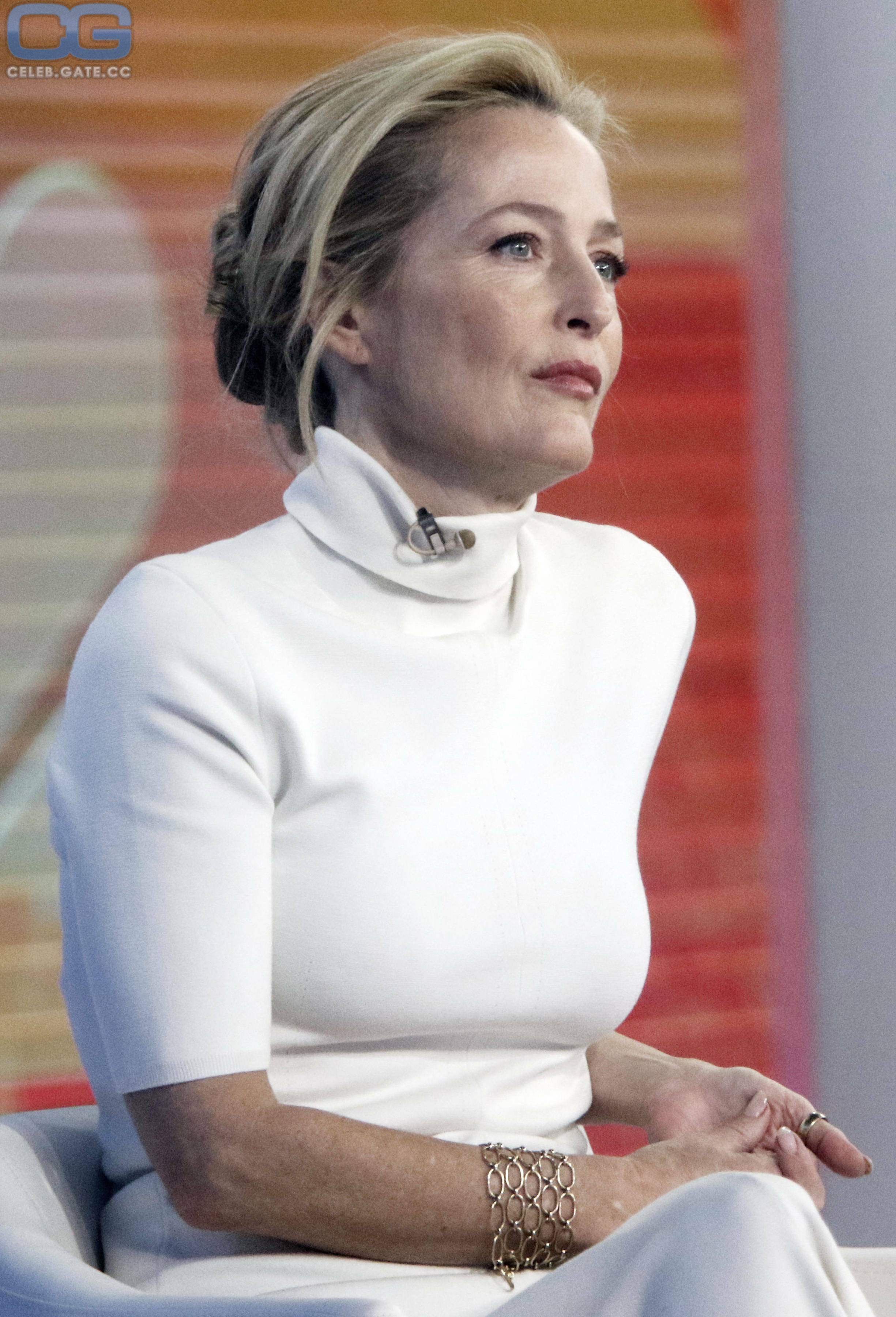 Gillian Anderson 