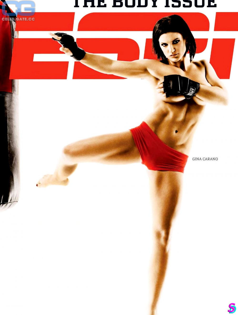 Gina Carano nude, pictures, photos, Playboy, naked, topless, fappening