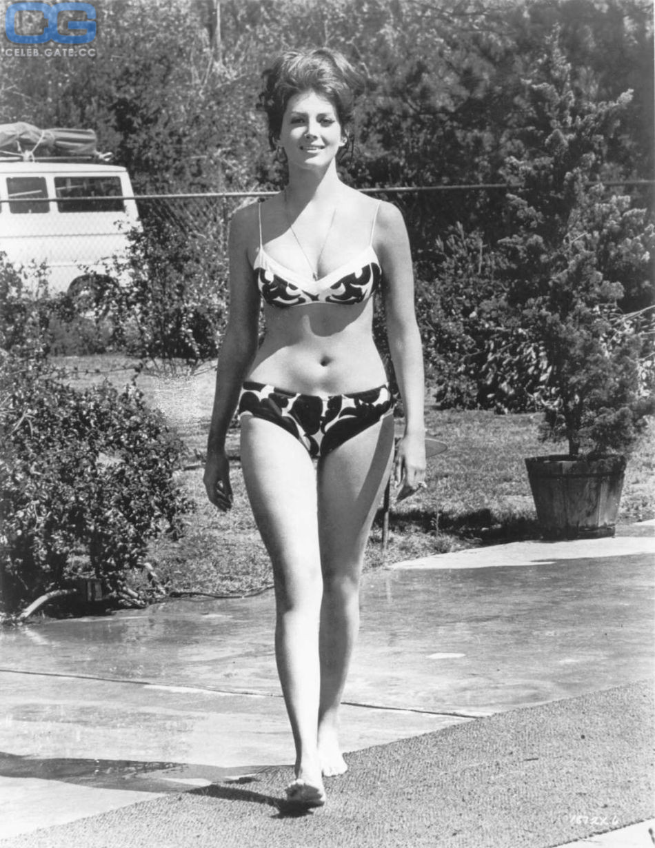 Gina Lollobrigida 