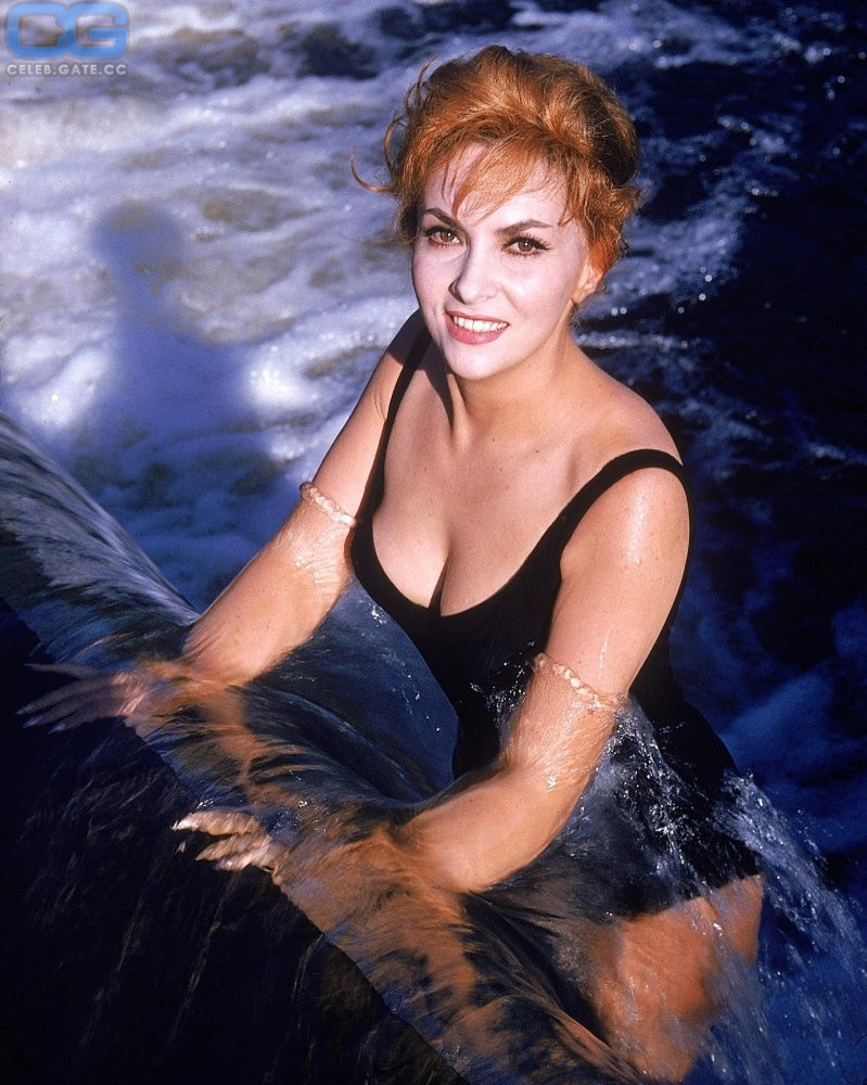 Gina Lollobrigida 