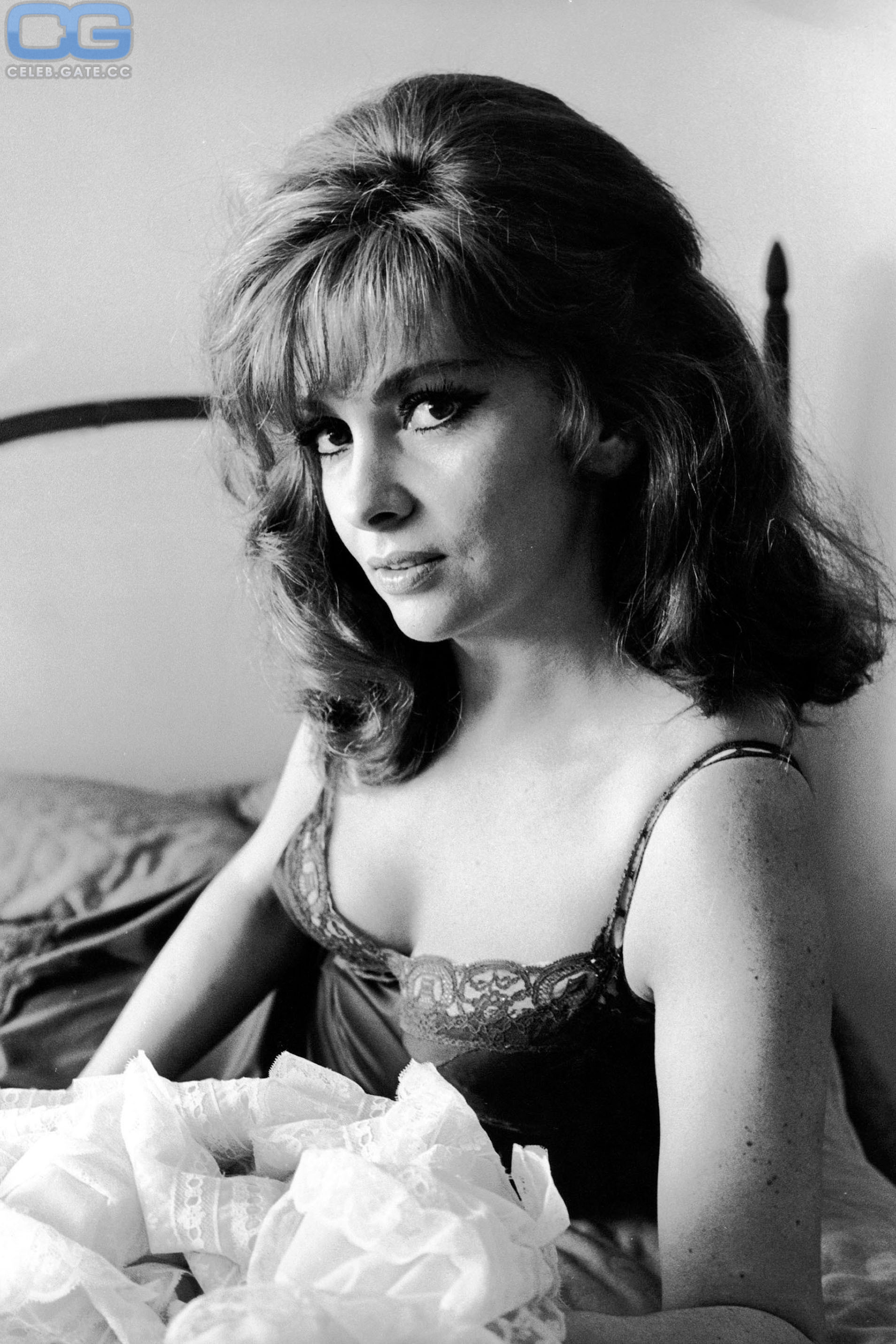 Gina Lollobrigida 