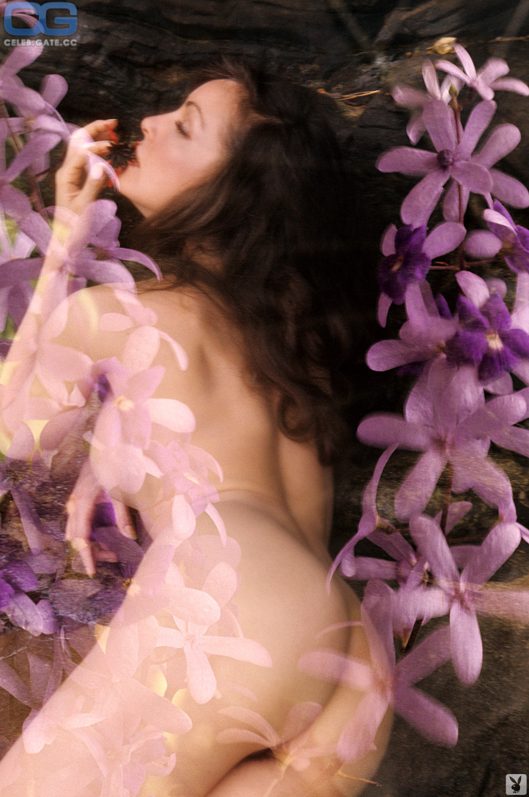 Julie Newmar Nude Photos