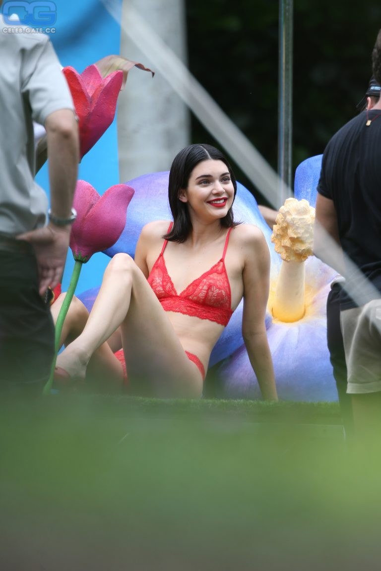 Kendall Jenner lingerie