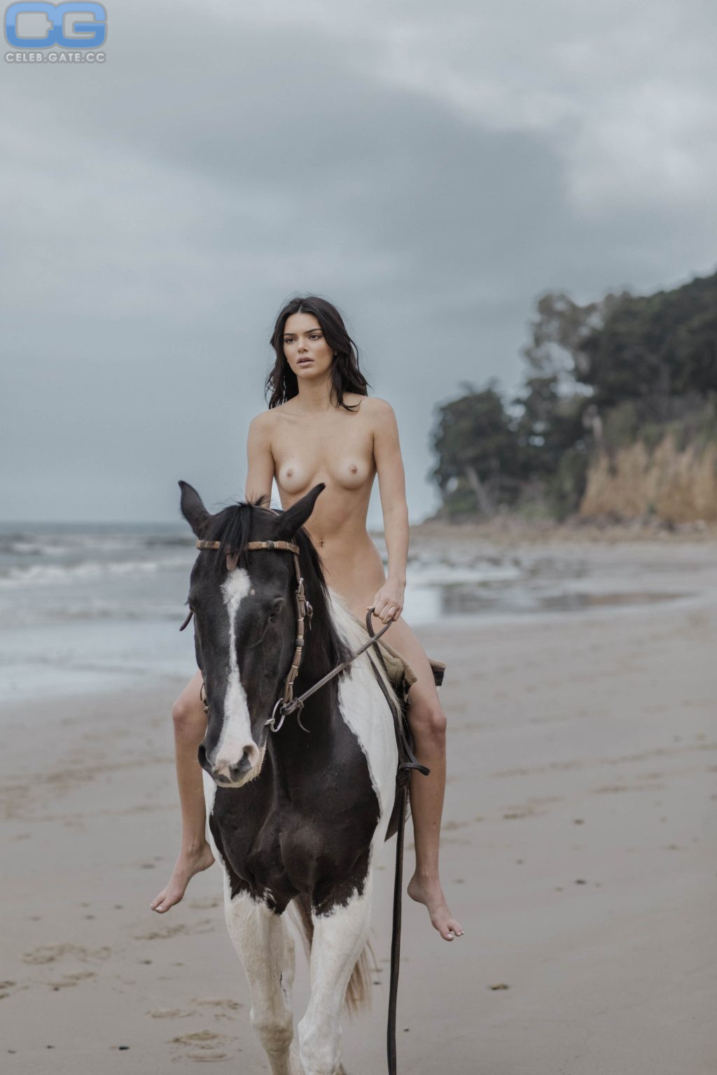 Kendall Jenner topless