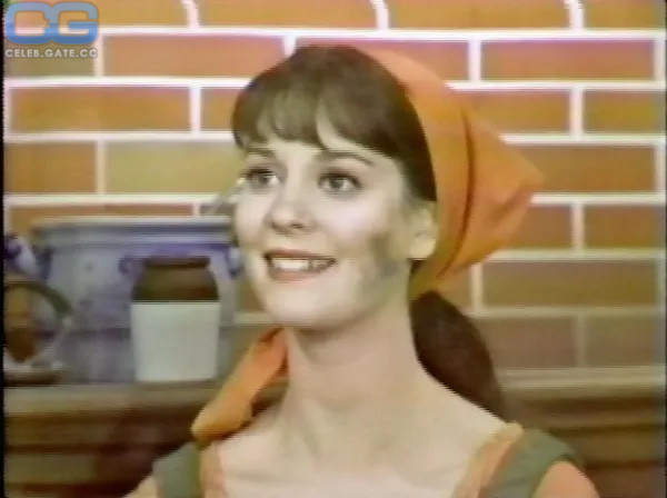 Lesley Ann Warren 