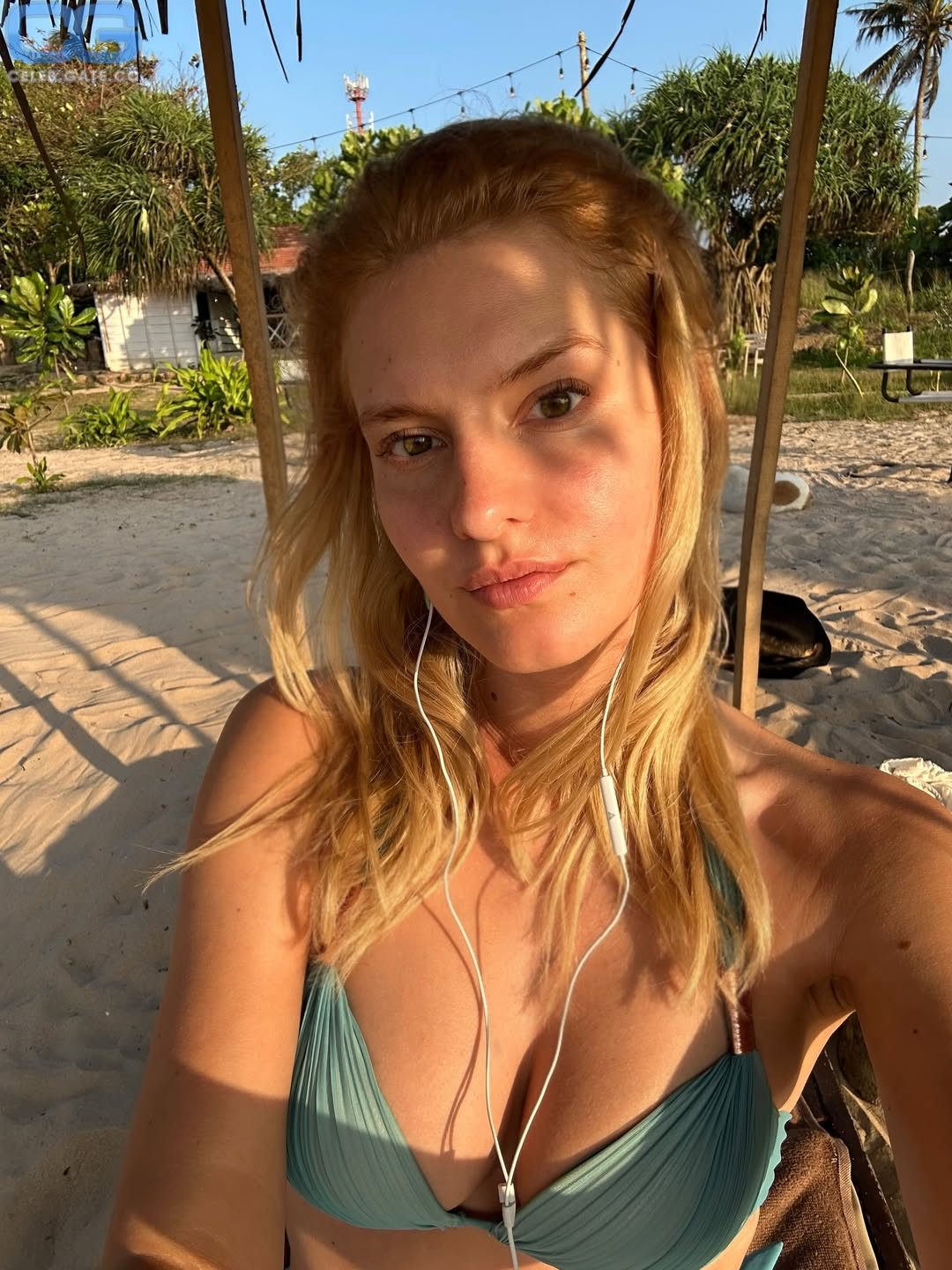 LizLaz 