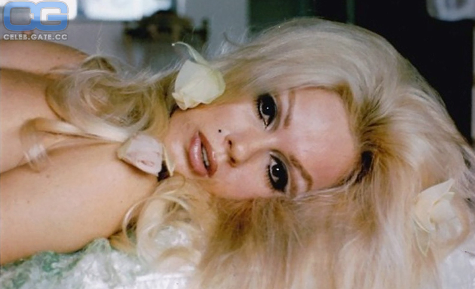 Mamie Van Doren nude, pictures, photos, Playboy, naked, topless, fappening