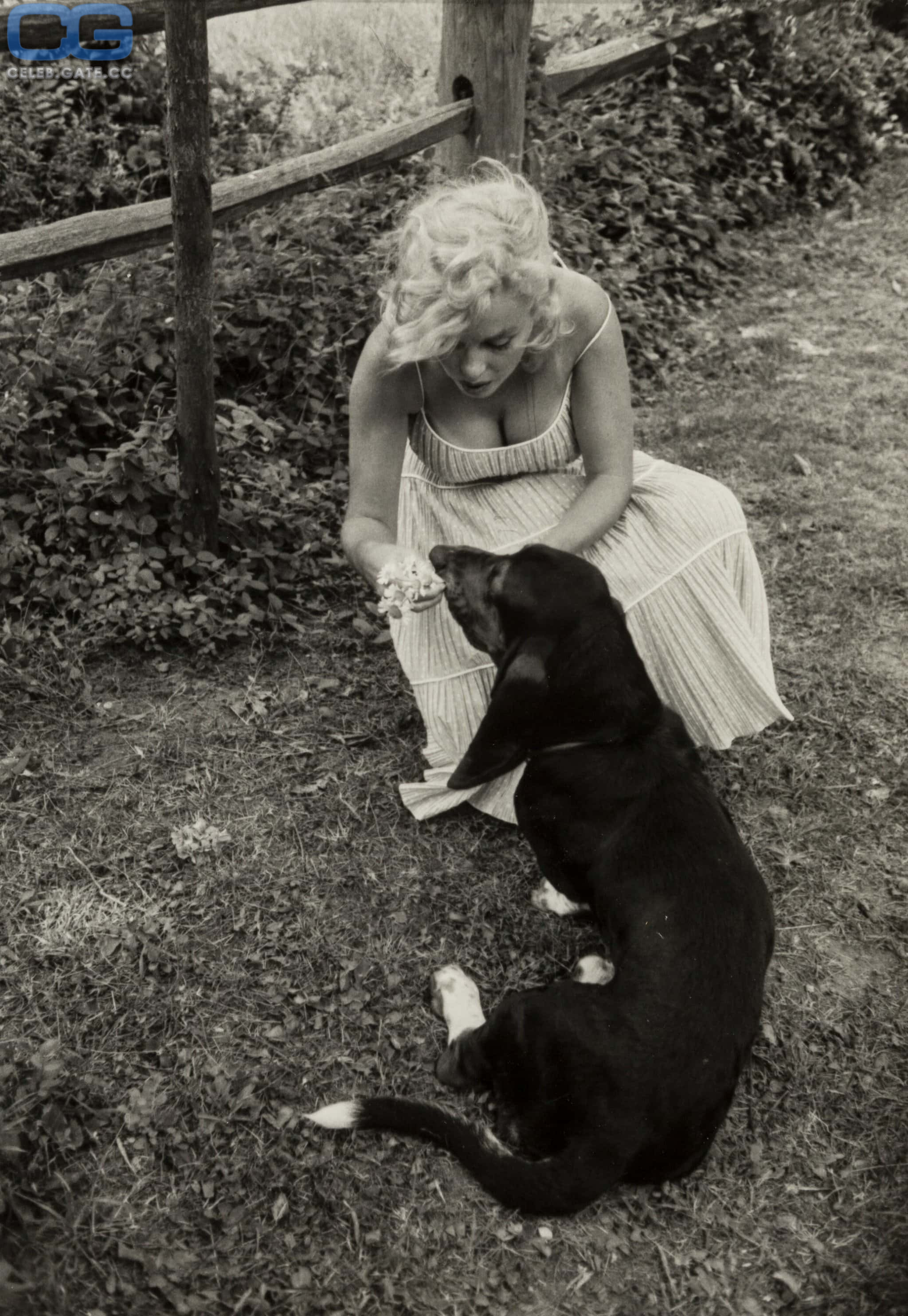 Marilyn Monroe 