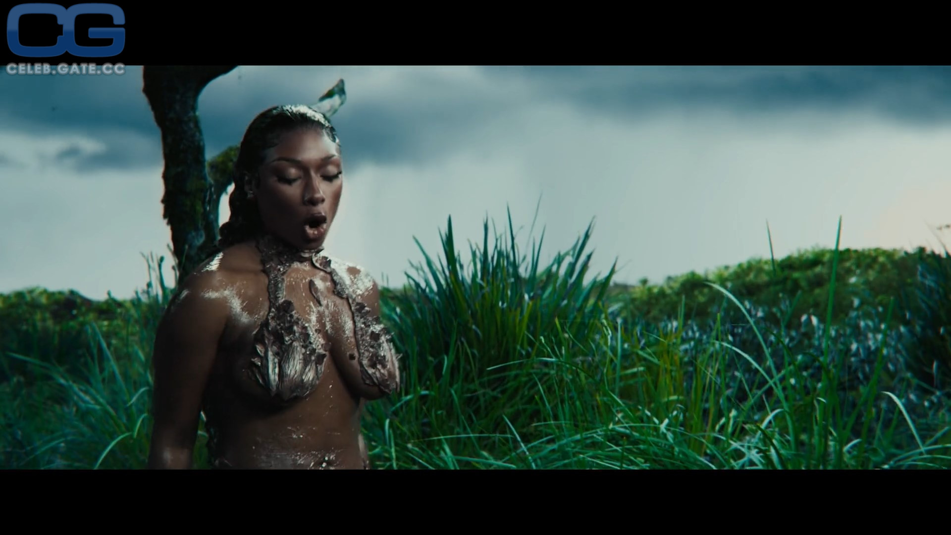 Megan Thee Stallion 