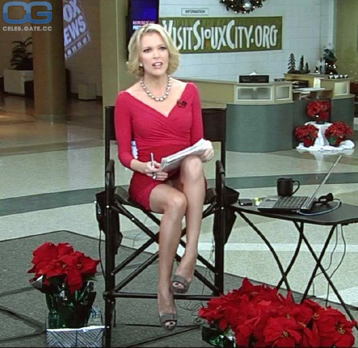 Megyn Kelly upskirt