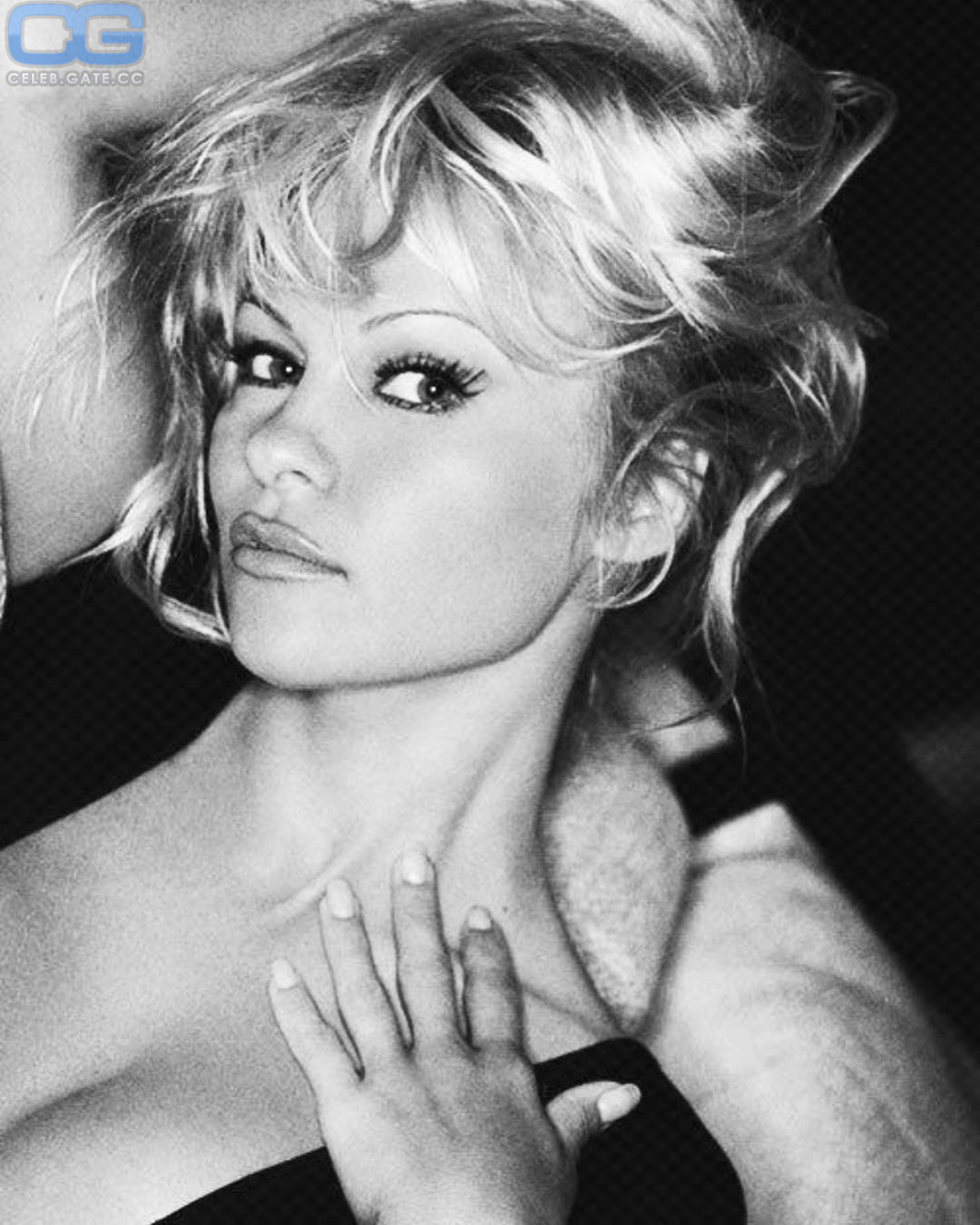 Pamela Anderson  nackt