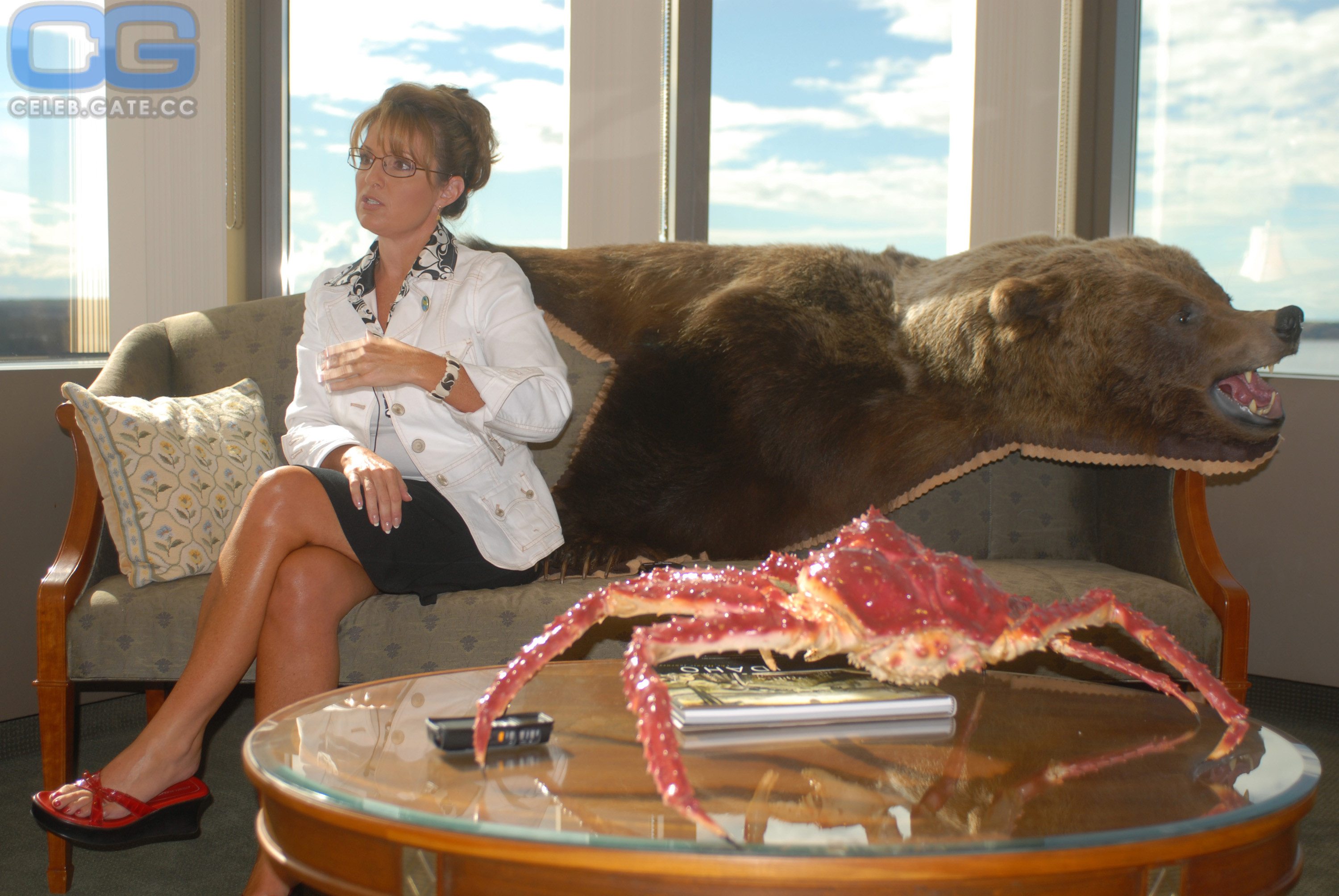 Sarah Palin 