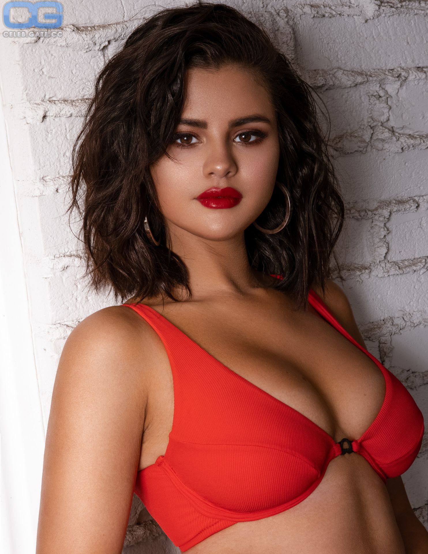 Selena Gomez lingerie