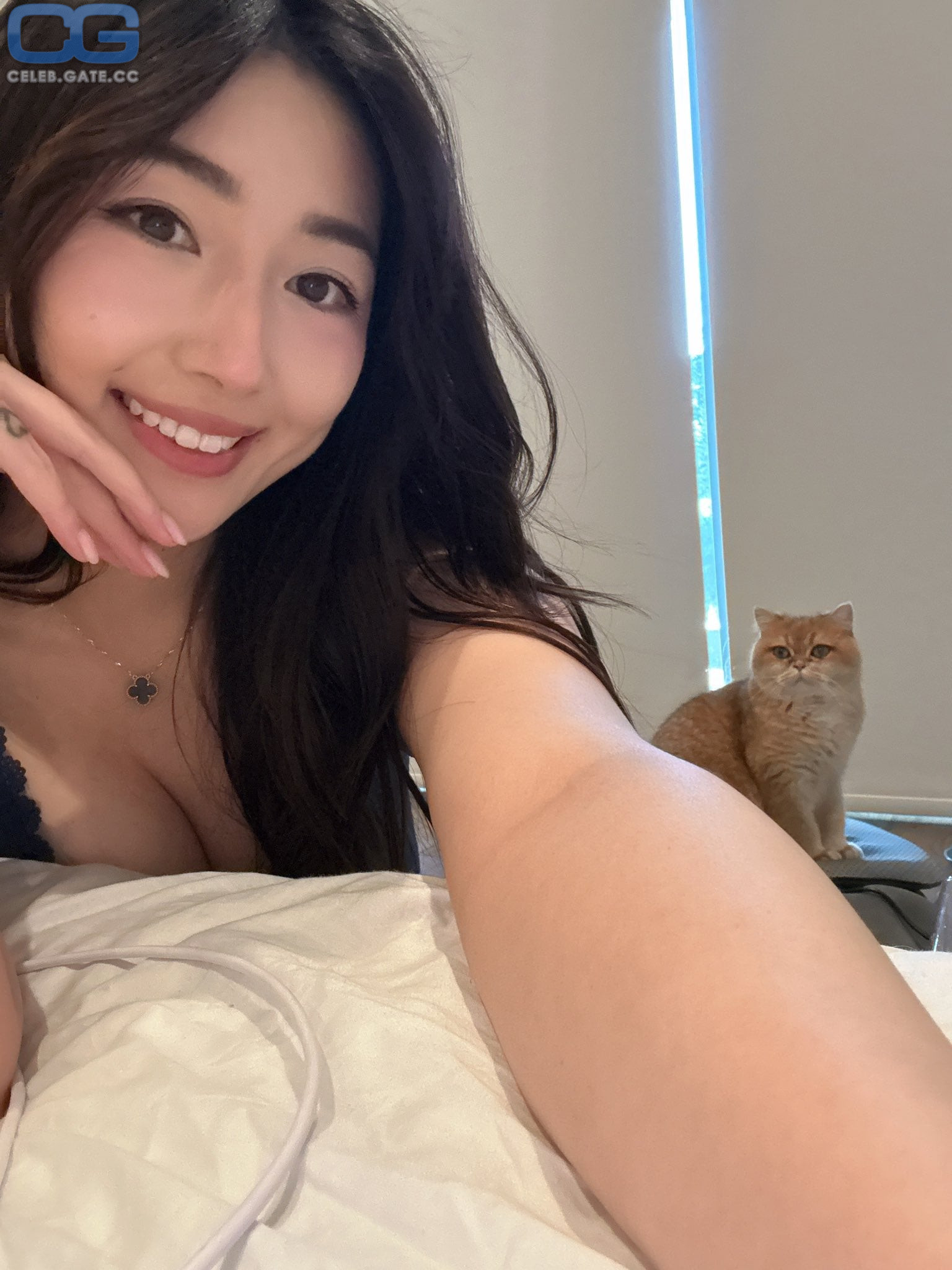 xChocoBars 