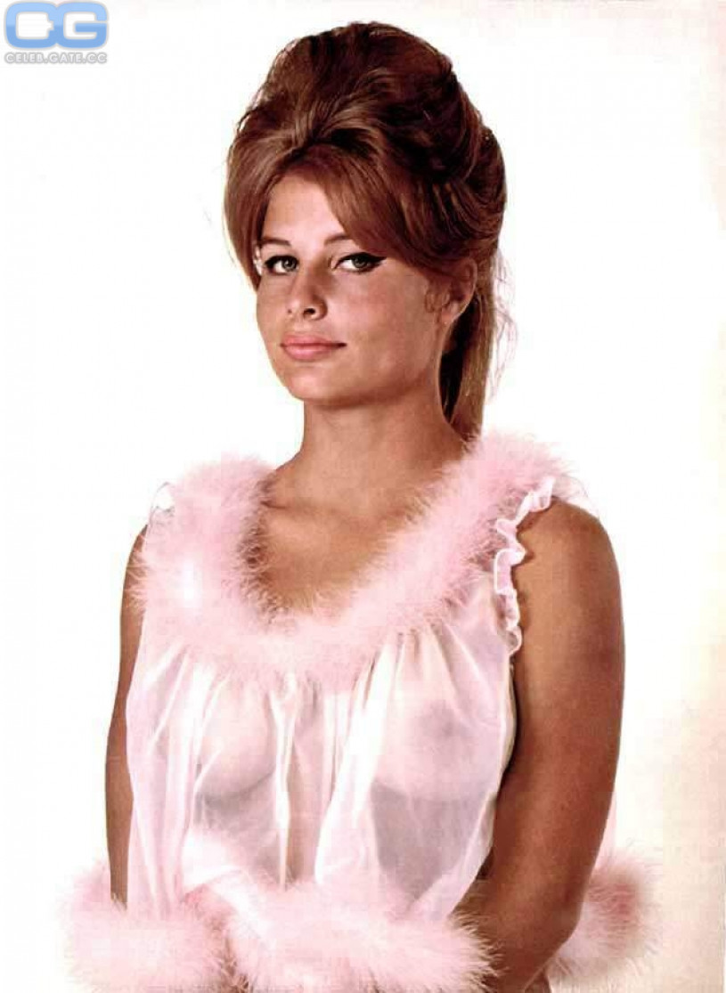 Donna Michelle nude, pictures, photos, Playboy, naked, topless. Donna Michelle nude, pictures, photos, Playboy, naked, topless.